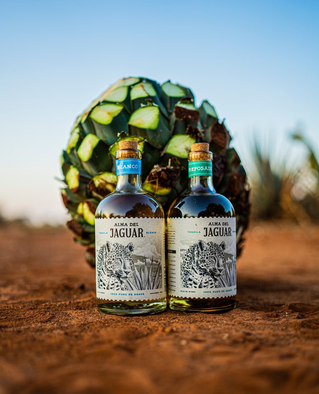 Alma del Jaguar : Alma del Jaguar is a premium tequila with a purpose, combining agave craft and wild jaguar conservation.