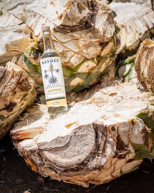 Banhez Mezcal — Cooperative-made artisanal spirit from Oaxaca, Mexico. Crafted by local farming families using traditional methods, Banhez celebrates agave diversity, community heritage and authentic mezcal craftsmanship.